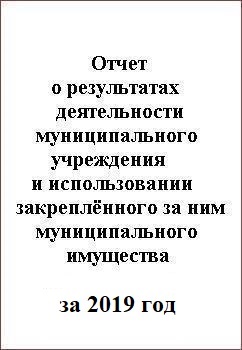 Отчет о деятельности учреждения за 2019 год