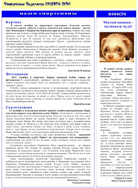 Газета «Дворцовские Ведомости» №1, ноябрь 2010, страница 2