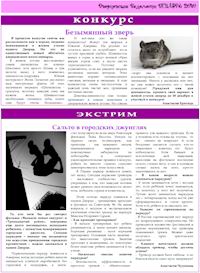 Газета «Дворцовские Ведомости» №1, декабрь 2010, страница 3