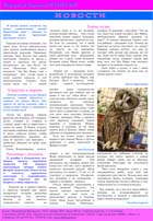 Газета «Дворцовские Ведомости» №12, декабрь 2012, страница 4